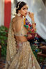 Picture of Faizabad Lehnga Choli