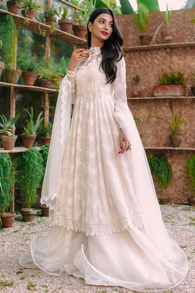 Picture of Hoor Kalidaar