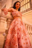 Picture of Denise Lehnga Choli