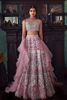 Picture of Reyha - lehenga only