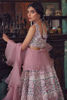 Picture of Reyha - lehenga only