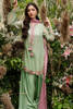 Picture of Sage Green
