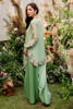 Picture of Sage Green