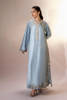 Picture of Blue Bird