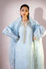 Picture of Blue Bird