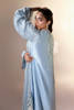 Picture of Blue Bird