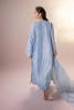 Picture of Blue Bird