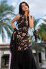 Picture of Black Dasiy
