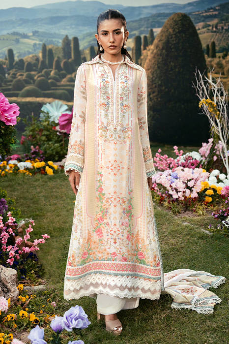 Picture of Sweet Corn